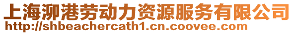 上海泖港勞動(dòng)力資源服務(wù)有限公司