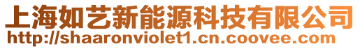 上海如藝新能源科技有限公司