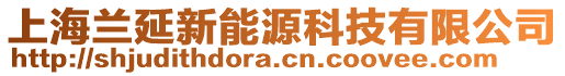 上海蘭延新能源科技有限公司