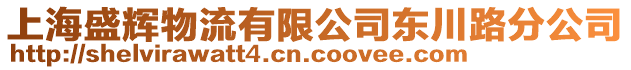 上海盛輝物流有限公司東川路分公司
