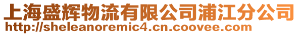 上海盛輝物流有限公司浦江分公司