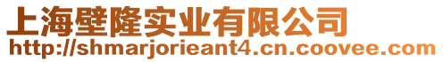 上海壁隆實業有限公司