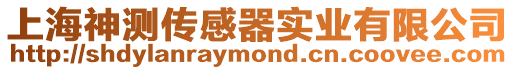 上海神測傳感器實(shí)業(yè)有限公司