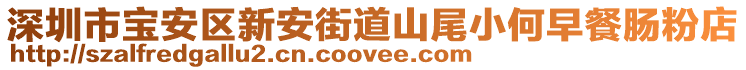 深圳市寶安區(qū)新安街道山尾小何早餐腸粉店