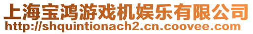 上海寶鴻游戲機(jī)娛樂(lè)有限公司