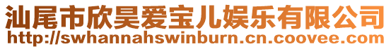 汕尾市欣昊愛寶兒娛樂有限公司