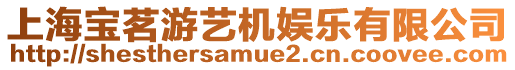 上海寶茗游藝機娛樂有限公司