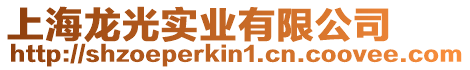 上海龍光實業有限公司