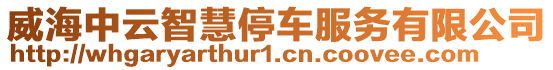 威海中云智慧停車服務(wù)有限公司
