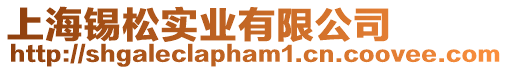 上海錫松實業(yè)有限公司