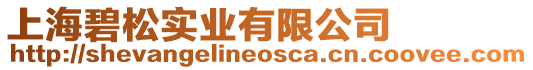 上海碧松實(shí)業(yè)有限公司