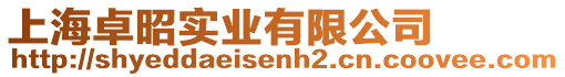 上海卓昭實業有限公司
