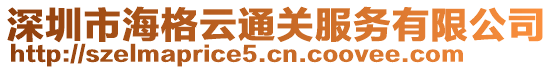 深圳市海格云通關(guān)服務(wù)有限公司