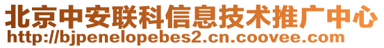 北京中安聯(lián)科信息技術(shù)推廣中心