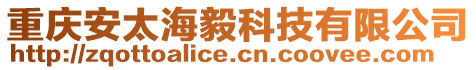 重慶安太海毅科技有限公司