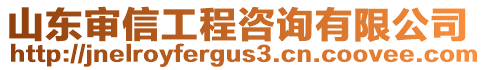 山東審信工程咨詢有限公司