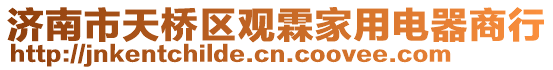 濟南市天橋區觀霖家用電器商行
