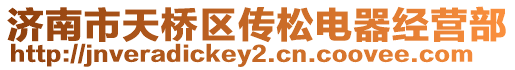 濟南市天橋區傳松電器經營部