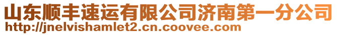 山東順豐速運有限公司濟南第一分公司