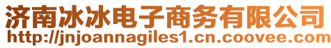 濟(jì)南冰冰電子商務(wù)有限公司