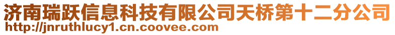 濟南瑞躍信息科技有限公司天橋第十二分公司