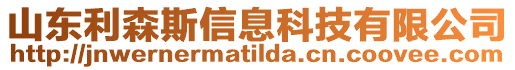 山東利森斯信息科技有限公司