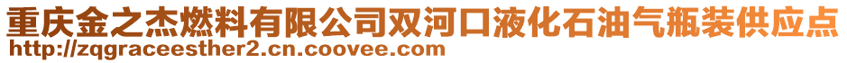 重慶金之杰燃料有限公司雙河口液化石油氣瓶裝供應點