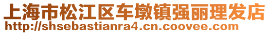 上海市松江區車墩鎮強麗理發店