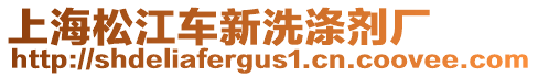 上海松江車新洗滌劑廠