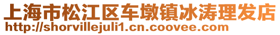 上海市松江區車墩鎮冰濤理發店