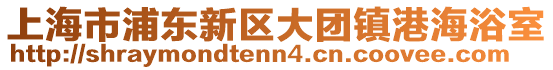 上海市浦東新區(qū)大團(tuán)鎮(zhèn)港海浴室