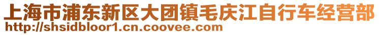 上海市浦東新區大團鎮毛慶江自行車經營部