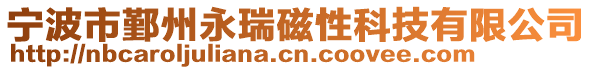寧波市鄞州永瑞磁性科技有限公司