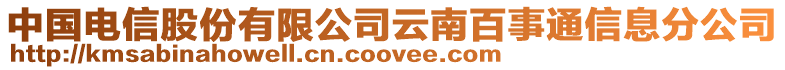 中國電信股份有限公司云南百事通信息分公司