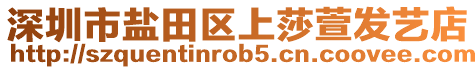 深圳市鹽田區(qū)上莎萱發(fā)藝店