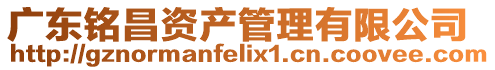 廣東銘昌資產(chǎn)管理有限公司