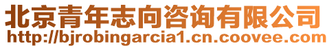 北京青年志向咨詢有限公司