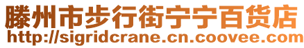 滕州市步行街寧寧百貨店