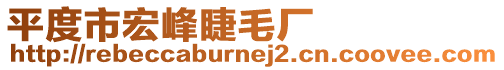 平度市宏峰睫毛廠
