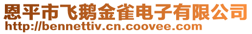 恩平市飛鵝金雀電子有限公司