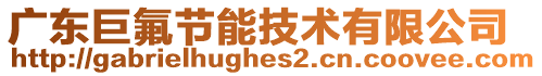 廣東巨氟節(jié)能技術(shù)有限公司