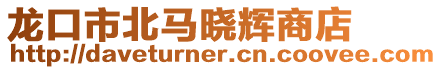 龍口市北馬曉輝商店