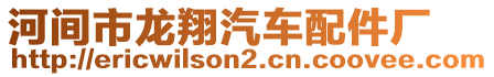 河間市龍翔汽車配件廠
