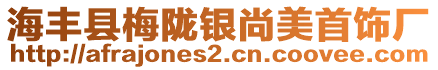 海豐縣梅隴銀尚美首飾廠