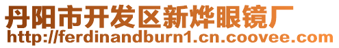 丹陽市開發區新燁眼鏡廠