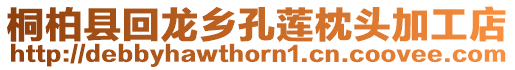 桐柏縣回龍鄉孔蓮枕頭加工店