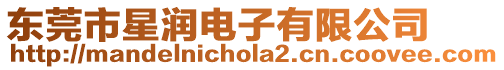 東莞市星潤電子有限公司
