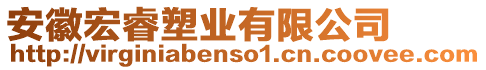 安徽宏睿塑業有限公司
