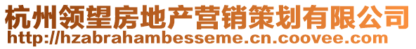 杭州領(lǐng)望房地產(chǎn)營(yíng)銷策劃有限公司