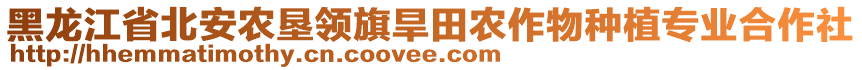 黑龍江省北安農(nóng)墾領(lǐng)旗旱田農(nóng)作物種植專業(yè)合作社